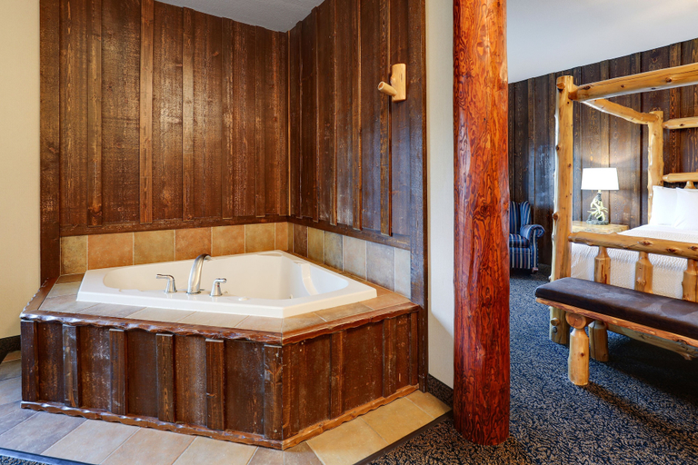 Bathroom 4, Stoney Creek Hotel Sioux City, Woodbury