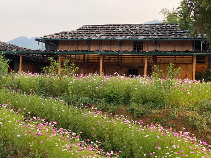 Mu Cang Chai Homestay and Trekking , Mù Căng Trai
