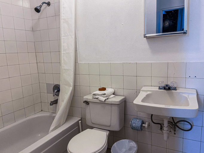 Bathroom, Gladiolas 2201