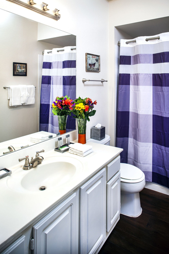 Bathroom 4, Meridian CondoResorts, Maricopa