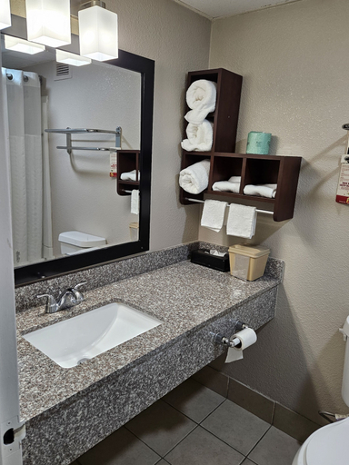 Bathroom 4, Super 8 by Wyndham Buffalo, Leon