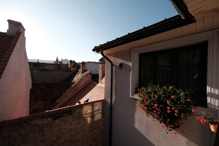Others 5, Casa Chitic Hotels, Brasov