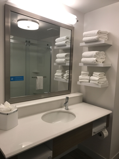 Bathroom 4, Hampton Inn Turlock, Stanislaus