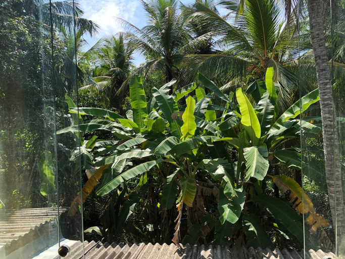 Others 5, Villa Pilseli, Habaraduwa