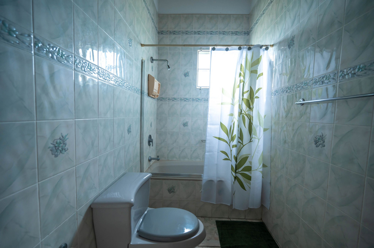 Bathroom 3, Leela's Manor