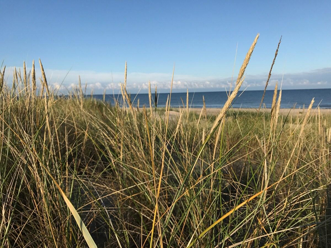 Others 3, Grey house No.10, calm beach, playground, BBQ, Liepaja