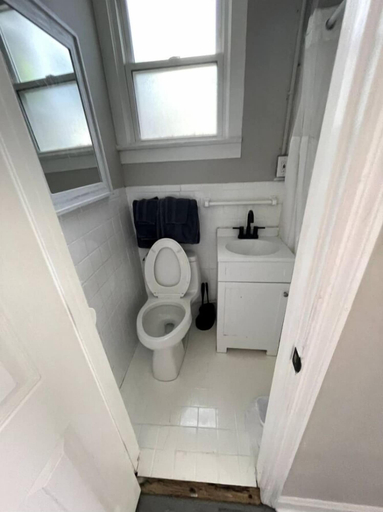 Bathroom 3, Cute & Friendly 1-BR 10 Mins From Nash, Davidson