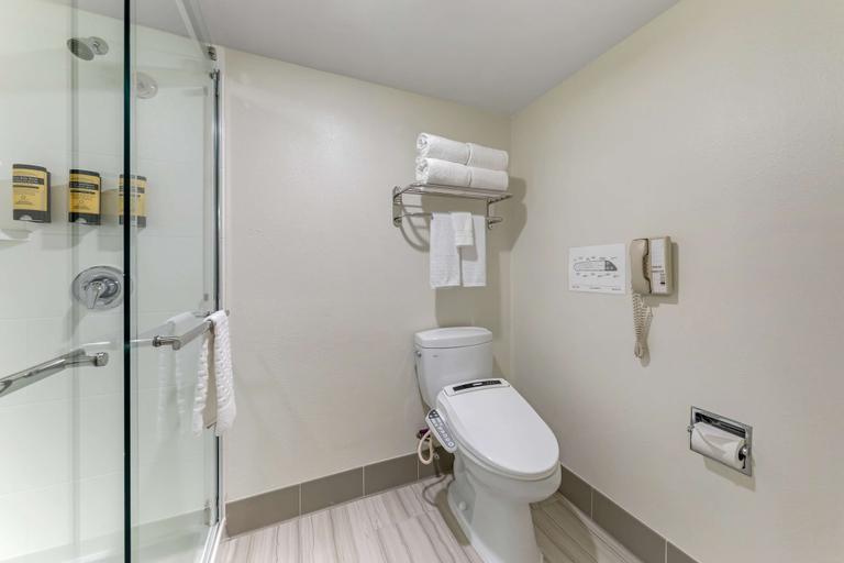 Bathroom 4, Best Western Plus Executive Inn, Los Angeles