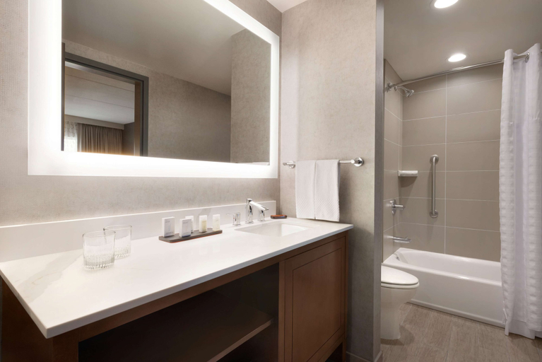 Bathroom 5, Embassy Suites by Hilton Chicago Naperville, Dupage