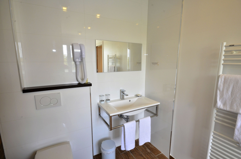Bathroom 3, Logis Hôtel La Ruche, Yvelines