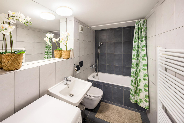 Bathroom, Loft with 3 bedrooms near Karlinska Square, Praha 7
