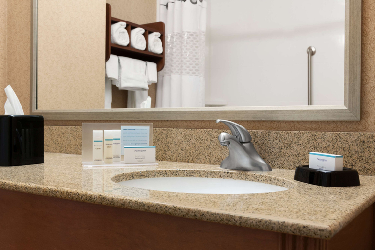 Bathroom 4, Hampton Inn Minneapolis/St. Paul-Woodbury, Washington