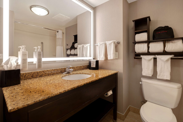 Bathroom 4, Hampton Inn & Suites San Luis Obispo, San Luis Obispo