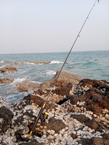 Others 5, Aloha Koh Larn, Pattaya