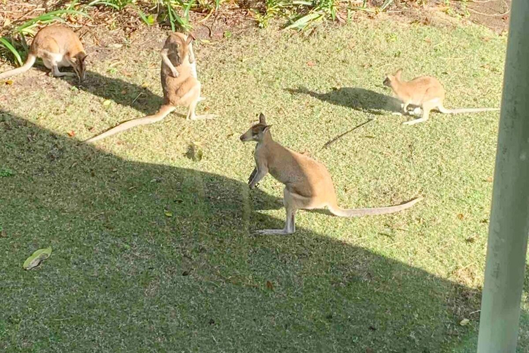 Others 4, Trinity Beach 2BR Apartment; Pools, 500 m to beach, Cairns