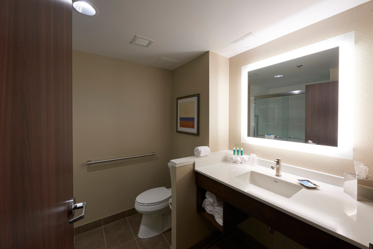 Bathroom 3, Holiday Inn Express & Suites ST JOHN'S AIRPORT by IHG, Division No. 1
