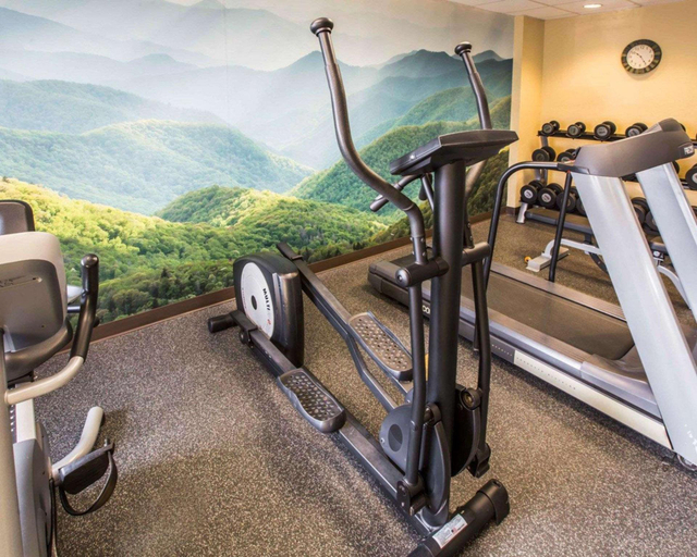 Others 5, Quality Inn Jonesville I-77, Yadkin