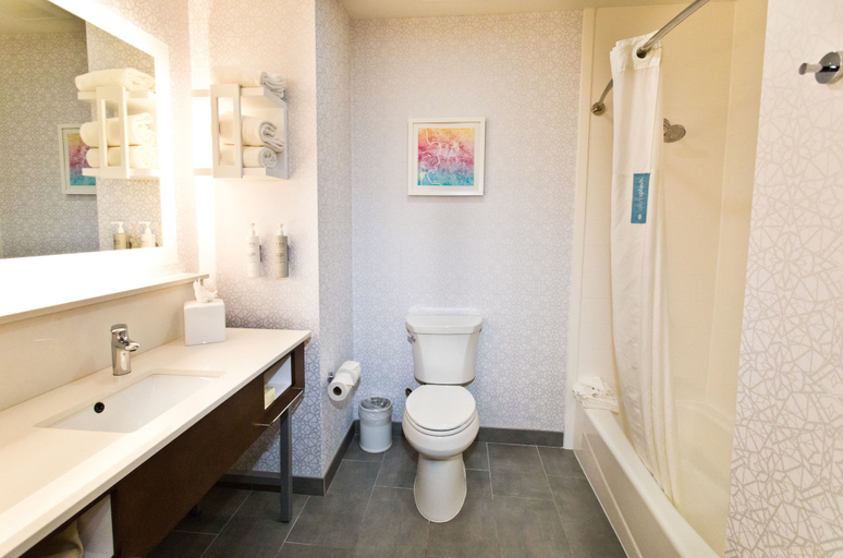 Bathroom 3, Hampton Inn & Suites Sacramento-Cal Expo, Sacramento
