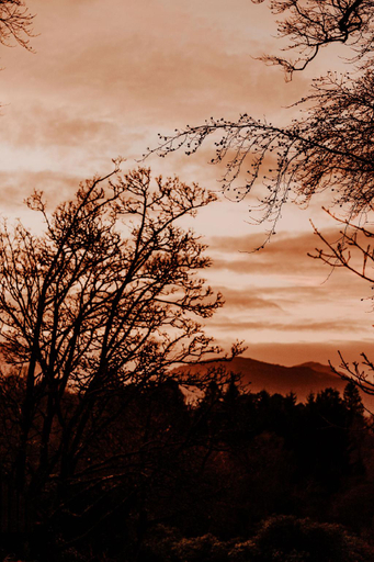 Others 2, Luxurious mountain retreat lodge Hunters Quay, Argyll and Bute