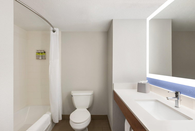 Bathroom 4, Holiday Inn Express Vero Beach-West (I-95) by IHG, Indian River