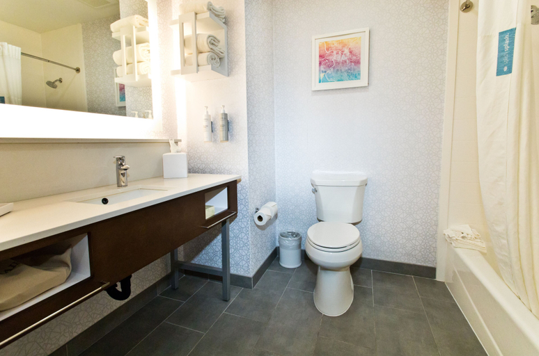 Bathroom 4, Hampton Inn & Suites Sacramento-Cal Expo, Sacramento