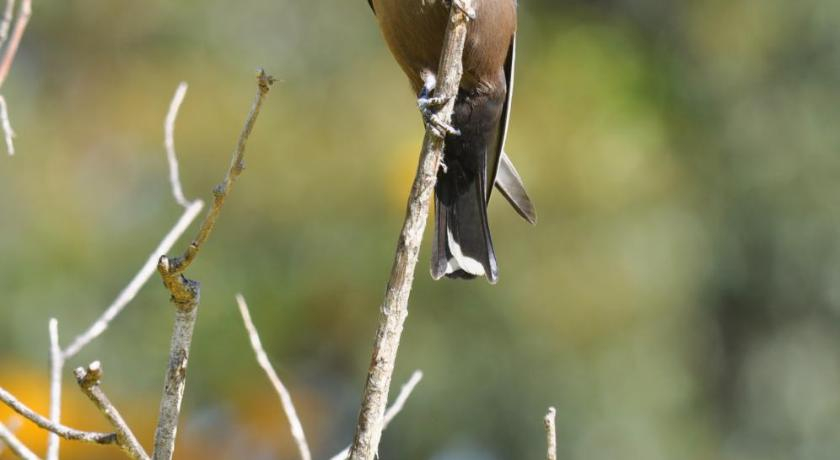 Others 3, Big Brook Retreat, Manjimup