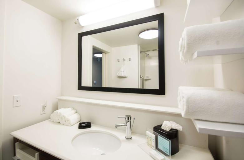 Bathroom 5, Hampton Inn & Suites Orlando At SeaWorld, Orange