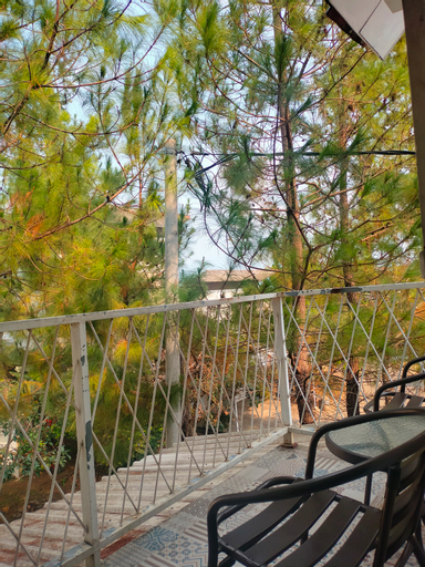 Scenery 9