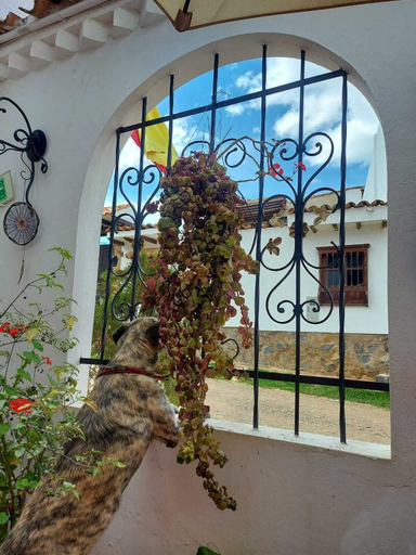 Exterior & Views, Family Host, Villa de Leyva
