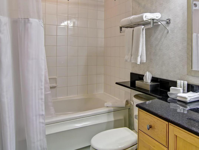 Bathroom 5, Homewood Suites by Hilton Mont-Tremblant Resort, Les Laurentides