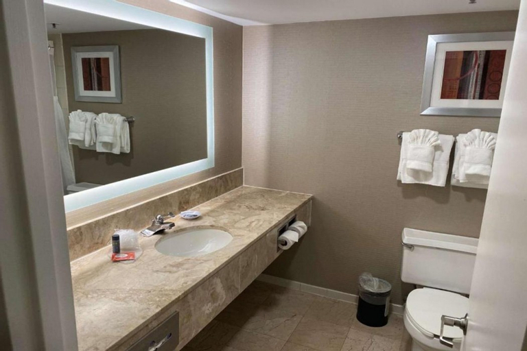Bedroom 5, LaGuardia Plaza Hotel, New York