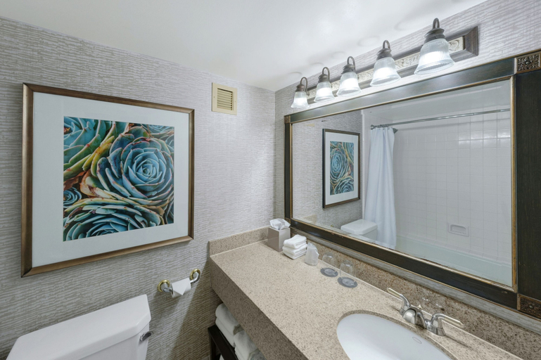 Bathroom 5, The Westin San Antonio North, Bexar