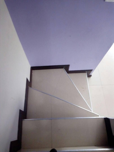 Others 4, Buena vista Home 3 bedrooms House, Tema