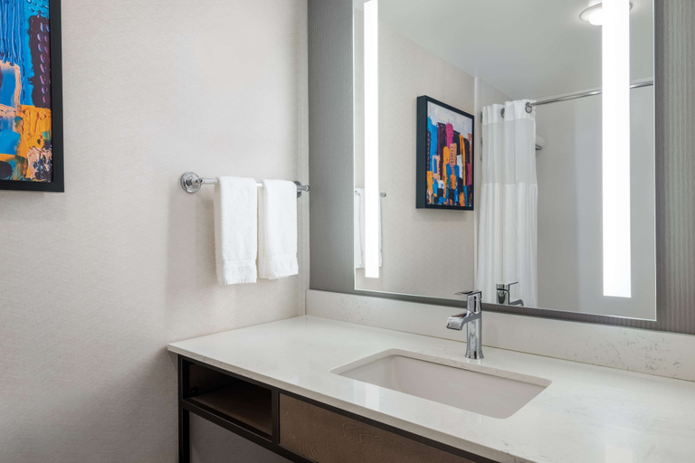 Bathroom 4, Hilton Garden Inn Montgomery East, Montgomery