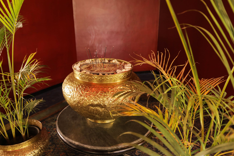Food & Drinks 5, Calimera Blend Paradise, Safaja
