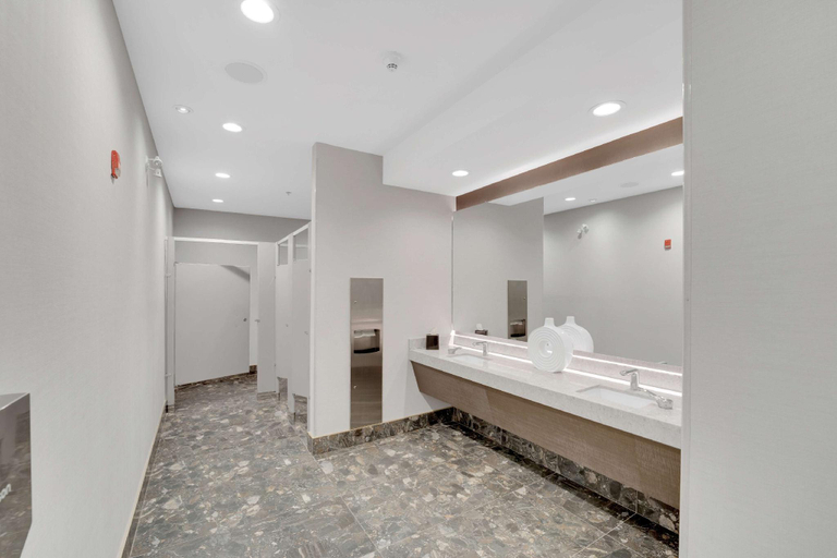 Bathroom 3, Hilton Garden Inn Toronto/Brampton, Peel