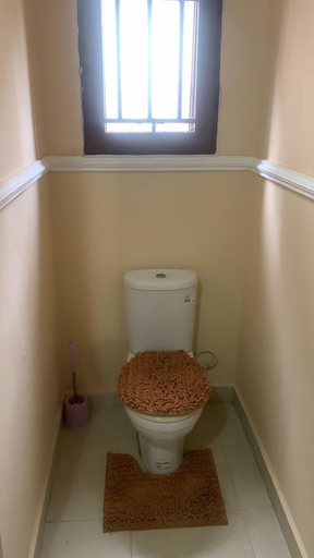 Bathroom 3, Buena vista Home 3 bedrooms House, Tema