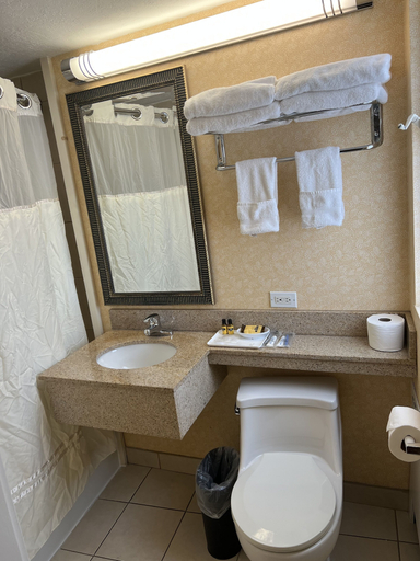Bathroom 4, The Boston Hotel, Boston