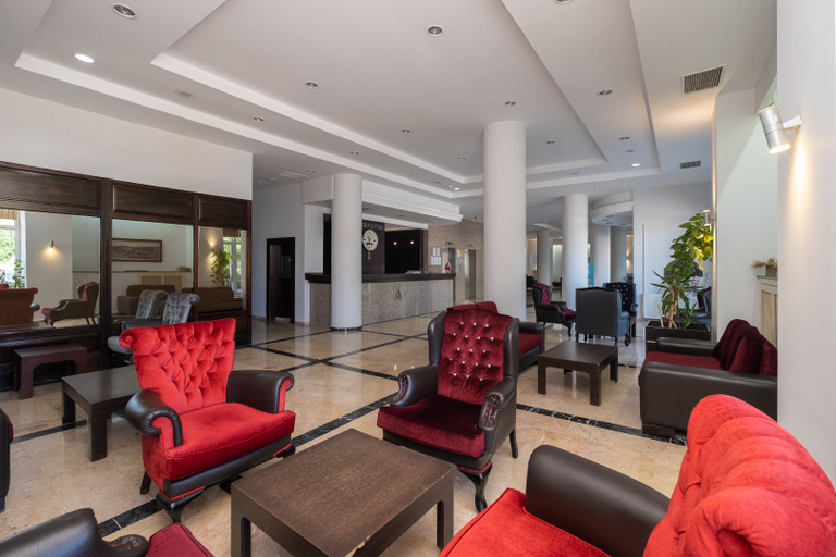 Public Area 2, Ancere Thermal & Spa Hotel, Havza
