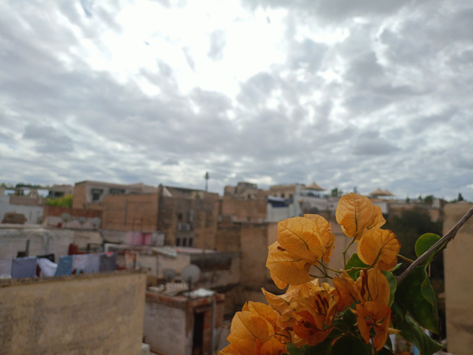 Others 5, Dar Lalj, Fès