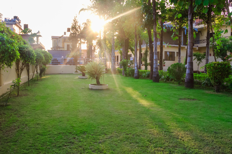 Others 3, Hotel Rainforest, Narayani
