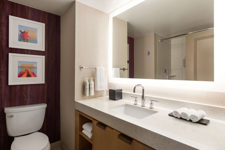 Bathroom 5, Embassy Suites by Hilton Tampa Downtown Convention Center, Hillsborough