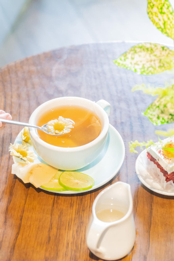 Food & Drinks 13