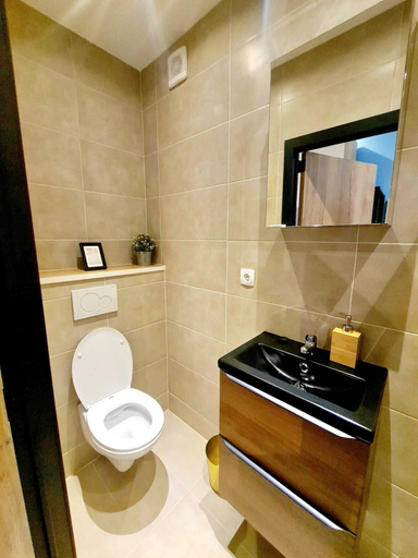 Bathroom 2, New 2 bedrooms Luxury Flat, Luxembourg