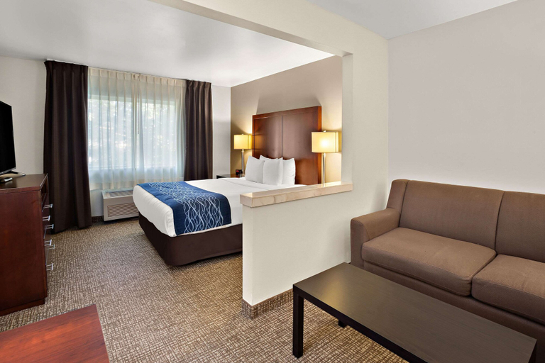 Bedroom 4, Comfort Inn Lacey - Olympia, Thurston
