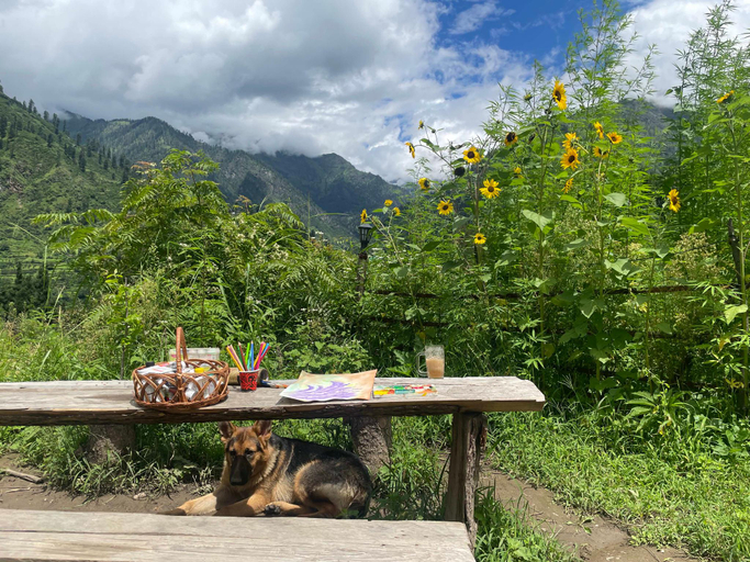 Others 5, Zevibes Cafe & Guesthouse, Kullu