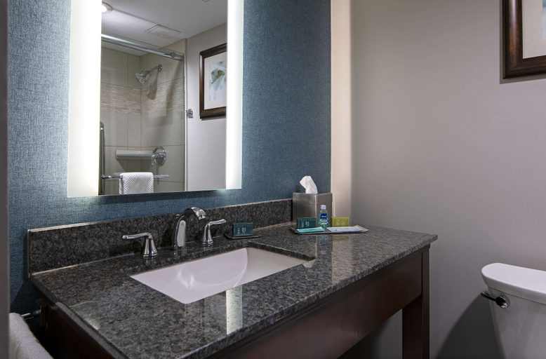 Bathroom 5, Doubletree by Hilton Hotel Kamloops, Thompson-Nicola