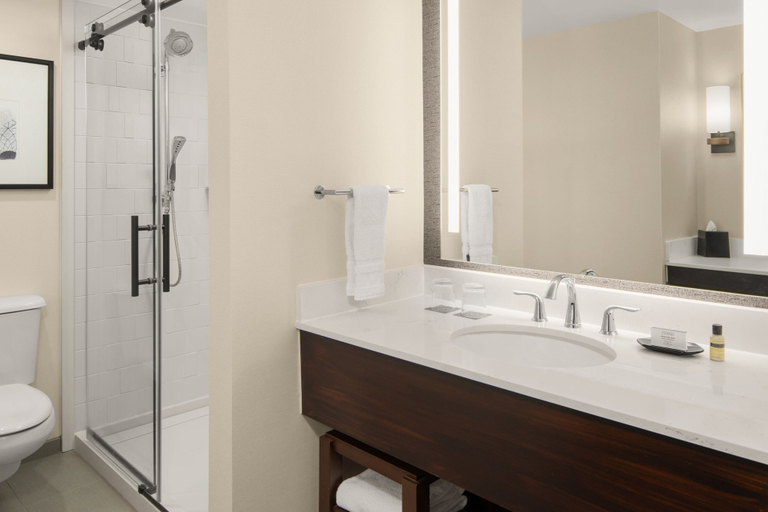 Bathroom 4, Sheraton Milwaukee Brookfield Hotel, Waukesha