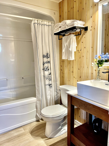 Bathroom 4, St Lawrence Motel, Queens