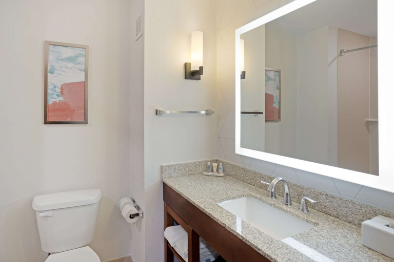 Bathroom 4, Comfort Suites Bloomsburg, Columbia